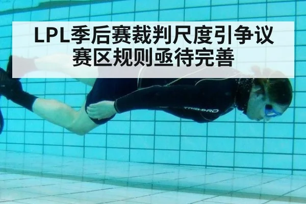 LPL季后赛裁判尺度引争议 赛区规则亟待完善